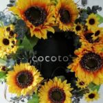 cocoto+